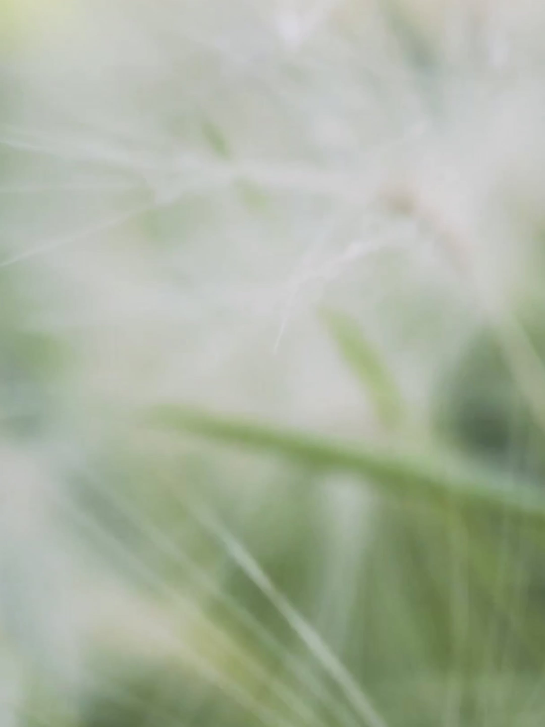 Carica il video: